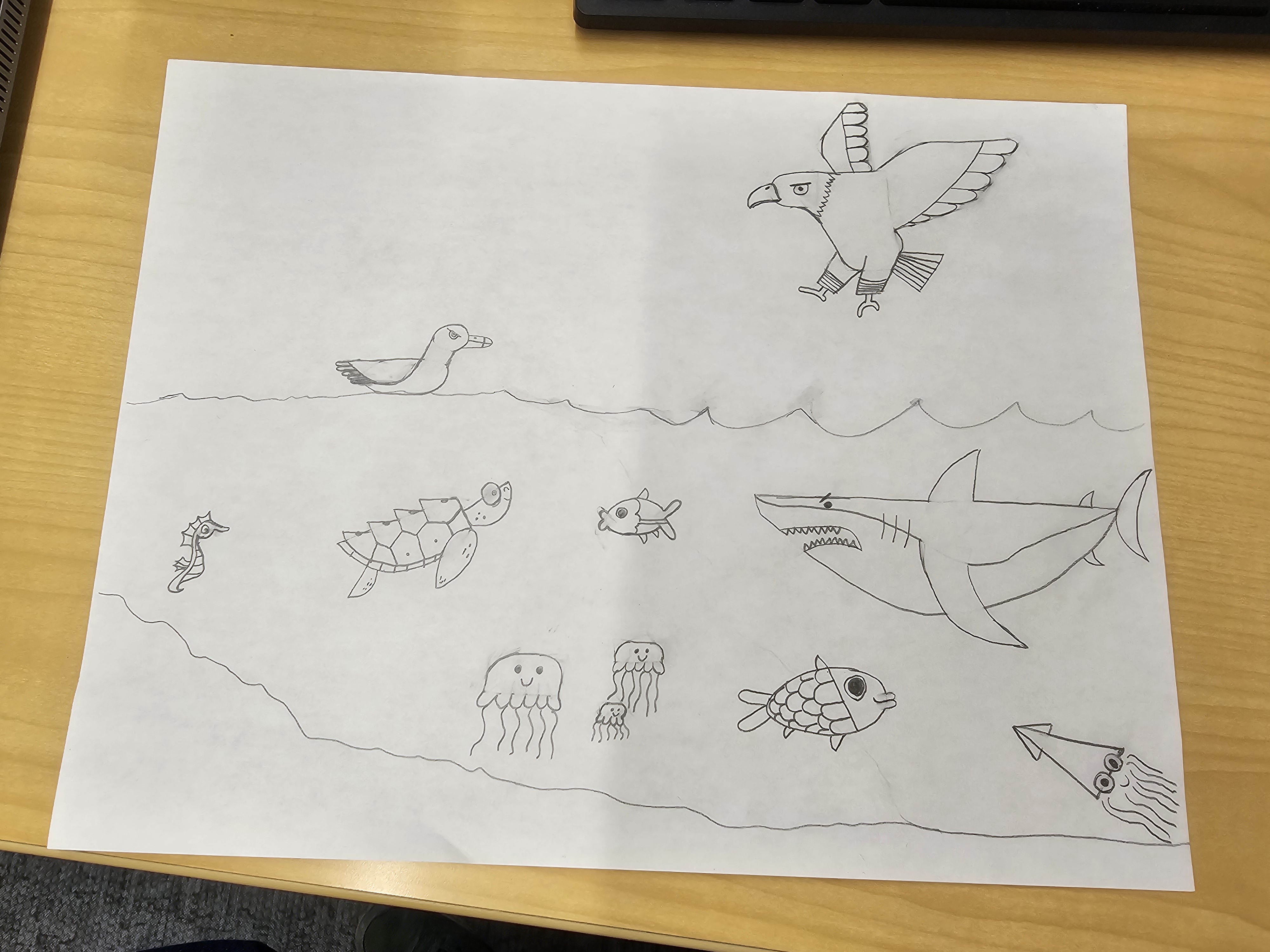 Sketch of ocean animals