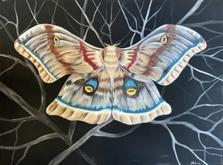 Drawing/ painting of colorful moth on a grayscale background of branches.