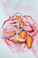 Petal shapes in pink, red and orange