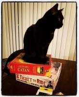 A blank cat sits on the boxes of the board games Settlers of Catan and Ticket to Ride
