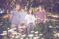 Four people from the band Greeting Committee stand in a sunny field of flowers