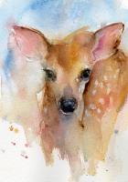 Watercolor of a fawn.