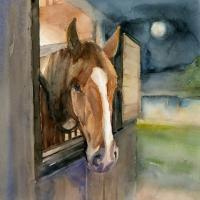 Watercolor of a horse poking its head out of a stable window at night.