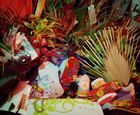 Photograph of still life arrangement of tropical plants, bronze statues, a hubcap, denim and a sneaker.