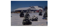 Warren's Christmas tree farm buildings in winter