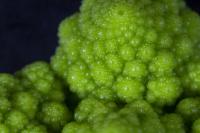 Image of magnified view of broccoli.