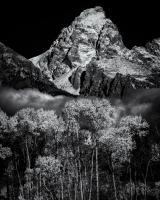 Black and white photograph of Grand Tetons cliff with forest in the foreground.