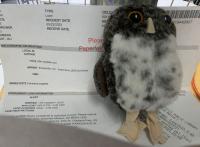 a plush small spotted owl puppet in front of a piece of paper with details about the loan of the puppet