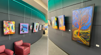 a view of colorful artworks on display against a charcoal gray wall