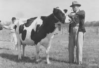 Arthur Jensen and Holstein