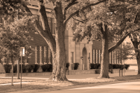 Black and whit photo of trees that frame a shot of the school involved in Brown vs. the Board of Education.