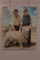 "sheepman" (1960); 48x60” oil on canvas