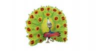 6 by 6 Peacock 6 by 6 Peacock