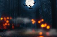 Scary Story Writing Contest Scary Story Writing Contest