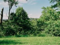 From the Where We No Longer Gather: Liberty Memorial, Penn Valley Park & Public Queer Looks project “Micheal no.1 at The Mall/Liberty Memorial” (2016)