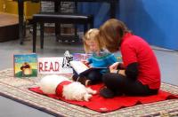 In addition to building critical reading skills and fluency, participation in Read to a Dog programming builds self-esteem, confidence and improved emotional and social skills Read to a Dog program