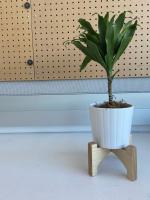 cnc cut plant stand