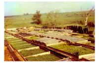 JoCo History Blog Slideshow - Raised Garden Beds