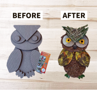 Image showing a cardboard owl with the word "before" alongside an image of a owl made from flora with the word "after"