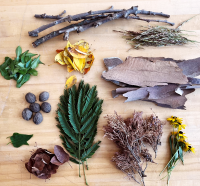 Image of sticks, leaves, flowers, bark and other forged items.