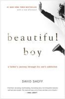 Beautiful Boy by David Sheff