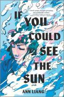If You Could See the Sun If You Could See the Sun book cover