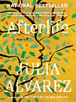 Afterlife book cover