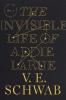 The Invisible Life of Addie LaRue by V.E. Schwab