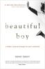 Beautiful Boy by David Sheff