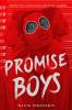 Promise Boys book cover