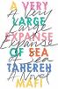 A Very Large Expanse of Sea book cover