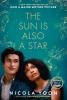 The Sun Is Also a Star book cover