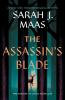The Assassin’s Blade by Sarah J. Maas