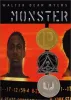 Monster Monster book cover